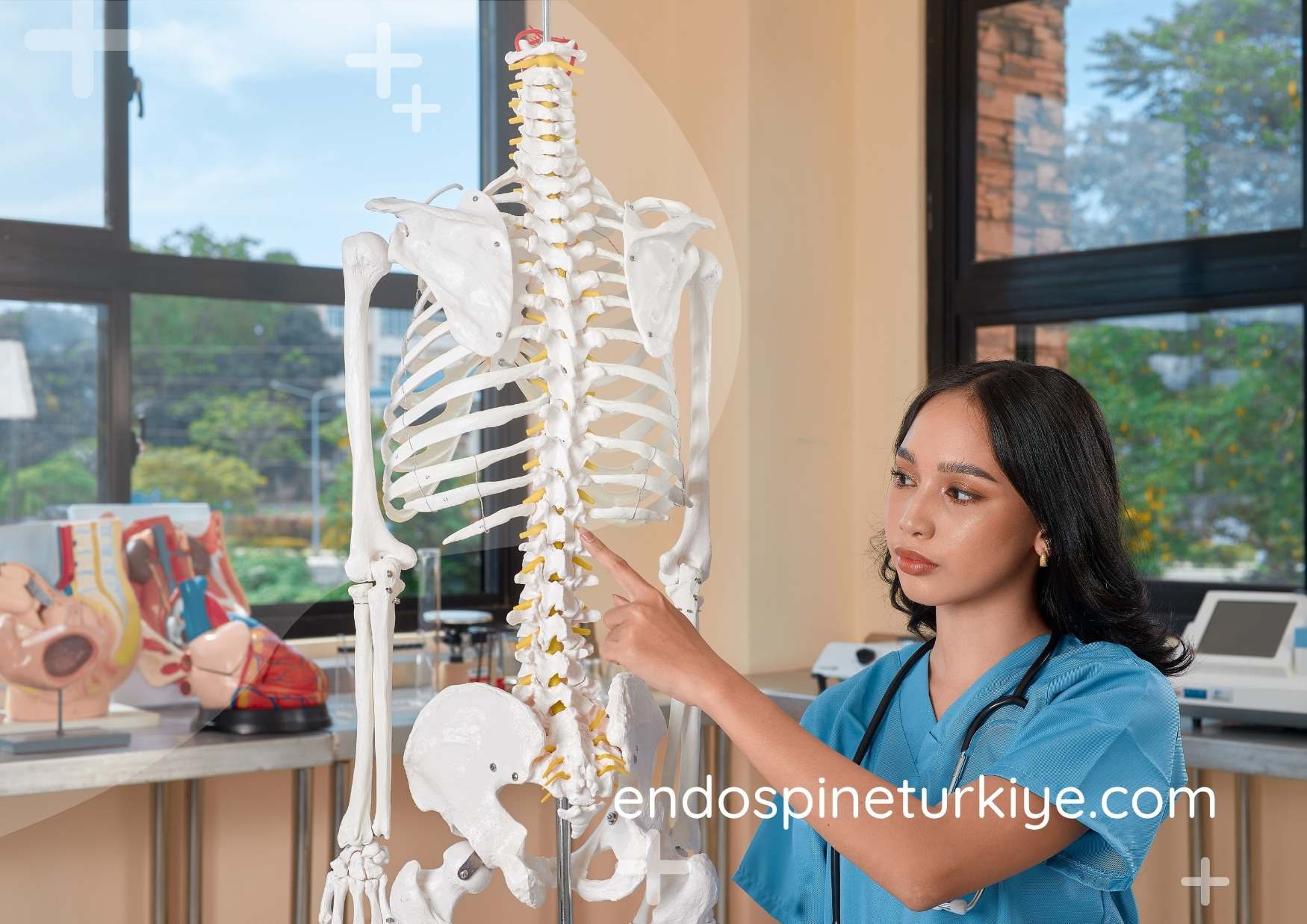 Omurga ameliyatı görüntüleme - endoskopik cerrahi ekranı