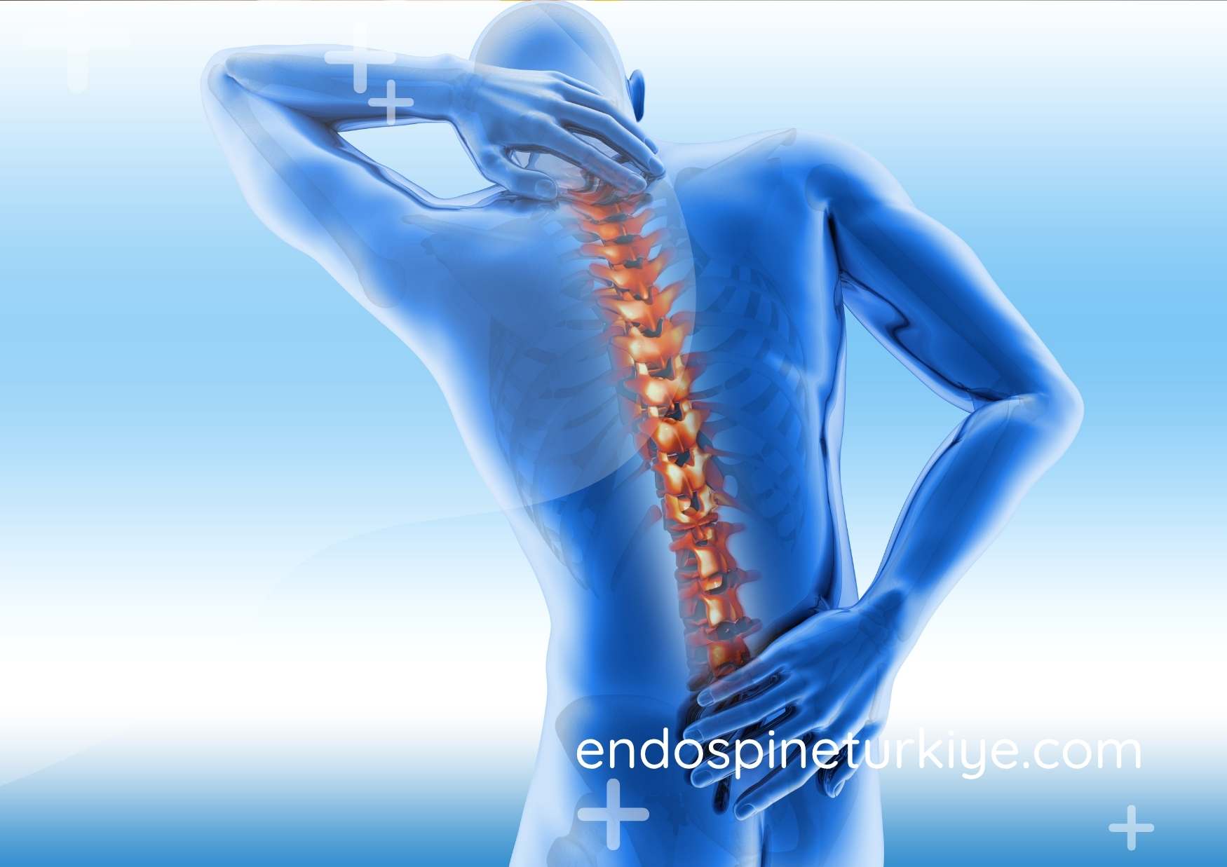 Endoskopik omurga cerrahisi - Op. Dr. Rifat Saygın Altınağ ile kapsamlı omurga tedavisi
